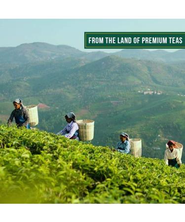 VAHDAM Oolong Tea Leaves Sampler - 5 Flavors, 25 Servings - Loose Leaf Tea Gift Set for Him/Her - Oolong Tea Pack (5 Count) - Buy Online on GoSupps.com