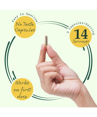 BetterMorning All-Natural DHM Capsules - Headache & Nausea Relief, Liver Support - 42 Gluten-Free Vegetarian Pills - Buy Online on GoSupps.com