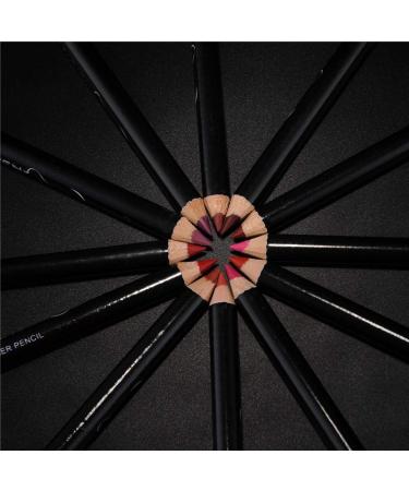 QiBest Lipstick & Lipliner Set - 12 Waterproof Matte Colors Long-Lasting Contour Pencils for Perfect Lips - Buy Online on GoSupps.com