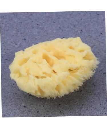 Healeved Bath Sponge Sponges Bath Shower Sponge Seaweed Sponge Natural Algae Sponge - Buy Online on GoSupps.com