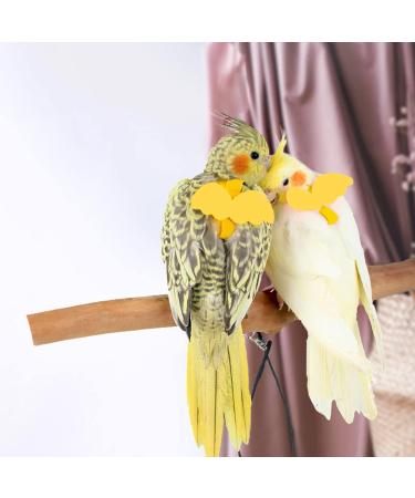 Adjustable Pet Parrot Bird Dishes & Leash | Anti-Bite Design & Nylon Rope for Alexandrin Scarlet Red & Keck Birds - Buy Online on GoSupps.com