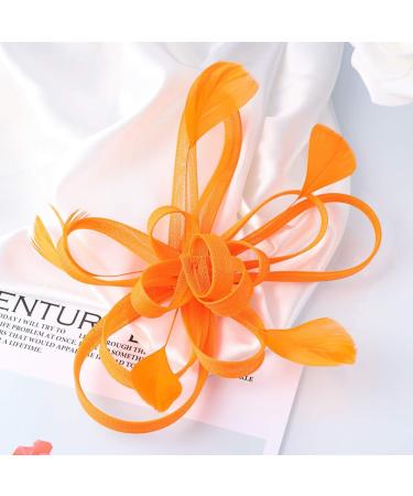 Lurrose Mesh Flower Hair Clip Fascinator Hair Pins Brooch Vintage Tea Party Hair Accessories for Women (Orange) - Buy Online on GoSupps.com
