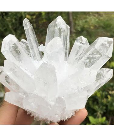 Natural White Crystal Cluster Quartz Crystal Collection Full of Texture (Size : 450-500g) - Buy Online on GoSupps.com