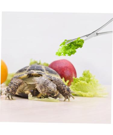 Parliky Reptile Feeding Clip Reptile Supplies Reptile Catching Stainless Steel Silver - Buy Online on GoSupps.com