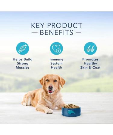 Blue Buffalo Life Protection Formula Healthy Weight Large Breed Dog Food & Life Protection Formula Adult Dog Food - Natural Dry Dog Food for Adult Dogs - Chicken and Brown Rice Healthy Weight Large Breed Chicken Large Bag + Dog Food - 11.7 Kg - Buy Online on GoSupps.com
