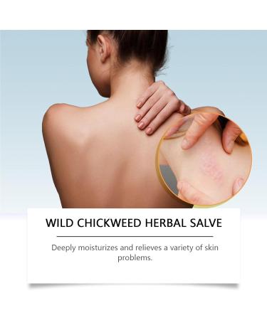 Buy Kowsunary Organic Wild Chickweed Herbal Salve 4oz - Natural Skin Relief & Moisturizer | Fast International Shipping - Buy Online on GoSupps.com