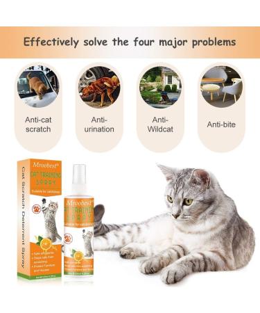Cat Scratch Deterrent Spray Cat Training Spray Anti Scratch Repellent Spray Anti Cat Scratching Deterrent Protect Your Furnture Carpet and Plants 120ml - Buy Online on GoSupps.com