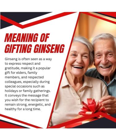 Canadian Vita Ginseng Honey Supplement - Creamy Blend of Canadian Ginseng & Organic Honey - Ginseng Tea/Toast - Energy/Immunity/Focus/Stress Relief - Buy Online on GoSupps.com