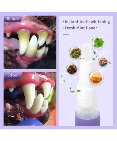 Cvreoz Pet Oral Repair Gel Pet Oral Restoration Whitening Gel Pet Breath Freshener Gel Pet Brush Free Oral Gel for Most Cats and Dogs Targets Tartar Eliminate Bad Breath (5PCS) - Buy Online on GoSupps.com