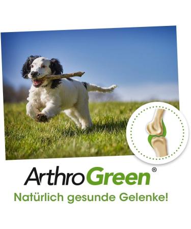Buy CDVet ArthroGreen Plus 700g | Natural Joint Support for Dogs & Cats | Nutritional Supplement with Vitamins & Minerals - Buy Online on GoSupps.com