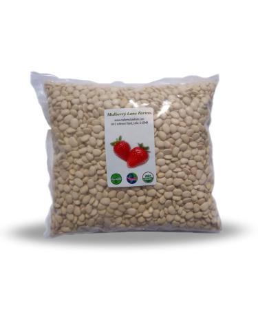 Lima Beans 5 Pounds Baby, Butter Beans USDA Certified Organic Non-GMO, Bulk, Product of USA, Mulberry Lane Farms