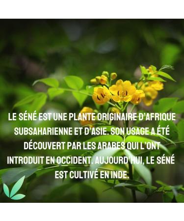 FLORALPINA Senna Coupe leaves origin India natural laxative promotes intestinal transit and cleansing of the colon detox herbal tea packed in France RUE DES PLANTES 500 grams - Buy Online on GoSupps.com