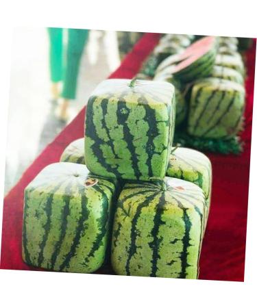 Alipis Clear Fruit Plastic Fruit Melon Shaper molds Yard Fruit Mold Big Rod Stereotypes Square Watermelon 15x15cm Transparent - Buy Online on GoSupps.com