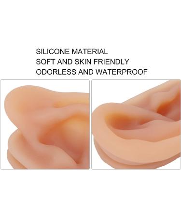 Ear Model Silicone Simulated Ear Model Ear Model with Display Stand Acupuncture Practice Tool for Piercing Display - Buy Online on GoSupps.com