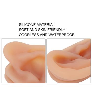 Silicone Human Ear Model with Display Stand - Acupuncture & Piercing Practice Tool - Buy Online on GoSupps.com