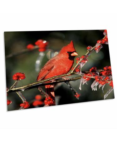 3dRose Northern Cardinal Male in ICY Green Hawthorn Tree ... - Desk Pad Place Mats (dpd-250944-1)