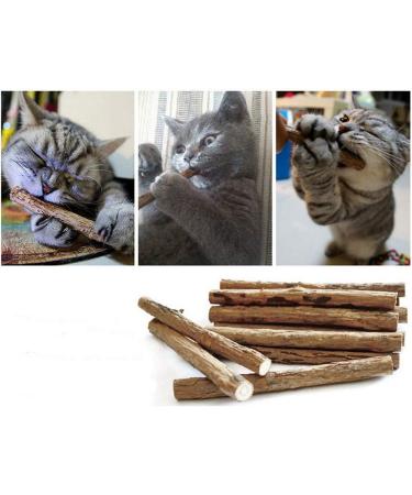 nuoshen 30 Pcs Chew Sticks for Cats Catnip Sticks Cat Sticks Cat Chew Toy Cat Teething Toys Natural Wood Sticks for Cats Play and Relax - Buy Online on GoSupps.com