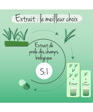 Horsetail Organic | French Extraction | 1000 mg Superior Extract (5:1) | Organic Silicon for Hair + Circulation + Skin | No Additives | 90 Capsules | Vegan | Vegavero  - Buy Online on GoSupps.com