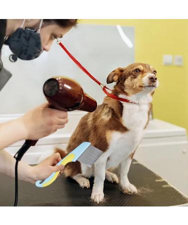 Stainless Steel Lice Comb Set - 2 Pack for Lice Fleas & Dandruff Removal | Durable Nissen Ridge & Lice Bams | Yellow Blue & Green - Buy Online on GoSupps.com