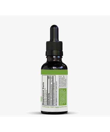 Active Folate Pure Liquid Extract Supplement | L-Methylfolate for Better Absorption | Brain Health & Cellular Function Support | Water Soluble B Complex 1oz - Ziggy Health - Buy Online on GoSupps.com