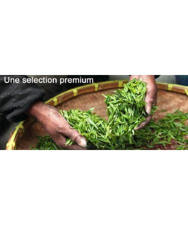  Ernst Richter Top Slimming Solution! Ernst Richter Herbal Tea Infusion 40g 100% Natural Herbs/Regulates Digestion/Special Slimming Formula / 20 x 2g Filter Bags - Buy Online on GoSupps.com