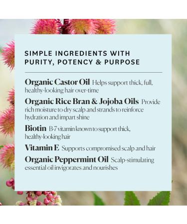 Sky Organics Organic GroPotion for Hair - USDA Certified Organic, Strengthen, Lengthen & Condition - 6 fl. oz - Buy Online on GoSupps.com