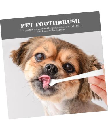 Beavorty 4pcs Handheld Puppy Lightweight Manual Long Convenient Small Pet Supplies -bristle Brush 1 count (Pack of 1) Assorted Color - Buy Online on GoSupps.com