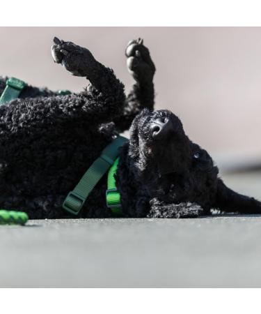 Buy Trixie Dog Leash Cavo V-Line S-M 2.00m 12mm - Adjustable Outdoor Leash for Small to Medium Dogs in Forest Green/Apple - International Shipping Available - Buy Online on GoSupps.com
