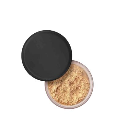 AllauraBeauty Blurring Powder Pink Pink Blurring Powder for All Skin Tones Travel Size Blurring Setting Powder (02# Large) 02# 40 g (Pack of 1)
