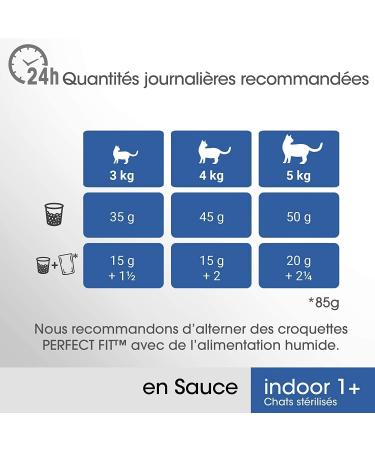 PERFECT FIT Sterilized Indoor Cat Food - 52 Freshness Sachets (Pack of 13 Packs 4x85g) - Cat Food in Sauce - Salmon/Chicken - - Buy Online on GoSupps.com