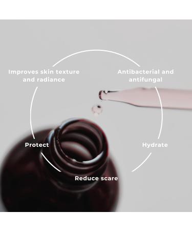 Attirent Organic Tamanu Oil - 30ml Natural Cold Pressed Oil - Boosts Cell Regeneration for Age Spots Acne Scars Sunburns & Skin Repair - Buy Online on GoSupps.com