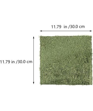 High-Quality Artificial Turf Patch & Carpet - Perfect for Pets Reptiles & Aquariums | 2-Piece Green Mat Set - Buy Online on GoSupps.com