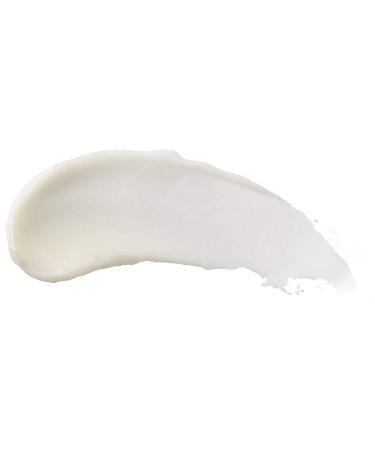 Burt's Bees Moisturizing Lip Balm 4 Pack - Assorted Flavors | 0.15 oz Each - Buy Online on GoSupps.com