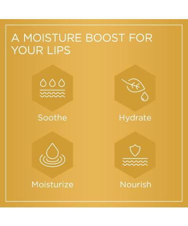 PURITI Manuka Honey Lip Balm 3pack Soothing & Moisturizing Enriched with Almond Jojoba Macadamia Oils Cocoa Butter Hydrating for Dry & Chapped Lips 100% Genuine New Zealand Manuka Honey - Buy Online on GoSupps.com