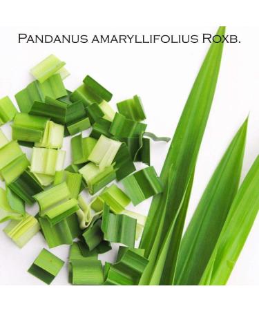  Kitama Lemongrass tea with pandan 100g sun-dried from Thailand. A wellness tea for relaxation and unwinding. - Buy Online on GoSupps.com