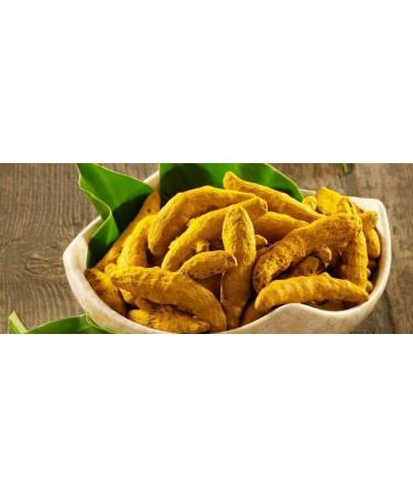 YAAJ Pl.ate CAT HAL.Turmeric Sticks | Wh.ole Turmeric (400 g) - Buy Online on GoSupps.com