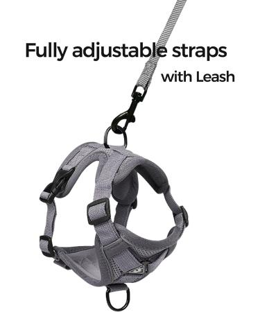 Pangdi Cat Dishes & Leash Set | Tactical Outbreak-Proof Emotional Support Kitten Vest | Gray Large | International Shipping Available - Buy Online on GoSupps.com