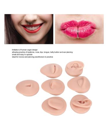 7PC Soft Silicone Human Body Part Model Set for Jewelry Display and Teaching - Medium Fleshcolor - Buy Online on GoSupps.com