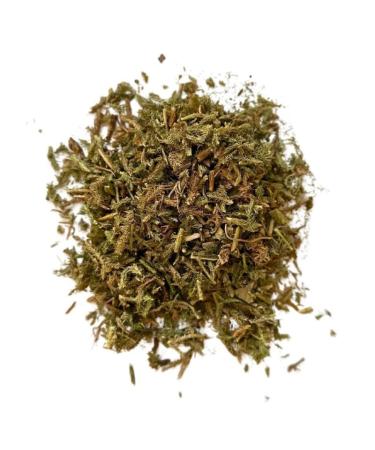 Herbal tea Lycopod plant 1 KILO Lycopodium clavatum.