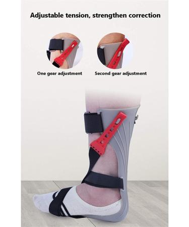 Ankle Foot Orthosis for Drop Foot - Adjustable Stabilizer Support for Flaccid Foot Drop & Dorsiflexion (Right Size L 39-41 - Buy Online on GoSupps.com