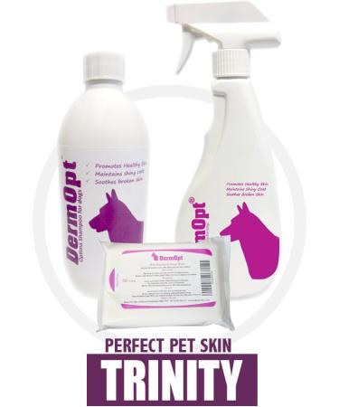 DermOpt Coat Care Spray and Skin Conditioner for Dogs Soothes Itching (500ml) 500 ml (Pack of 1) - Buy Online on GoSupps.com
