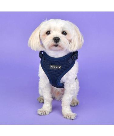 Puppia Ritefit Dog Harness for Small to Medium Dogs - Adjustable & Soft | Atani Train Crockery for Puppies - Navy XL - Buy Online on GoSupps.com