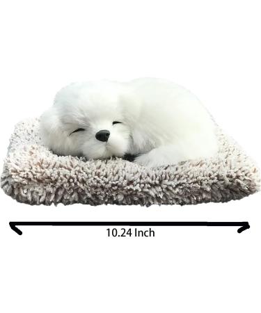 Car Activated Carbon Bamboo Charcoal Bag - Odor Eliminator & Air Purifier - Reusable Dog Decoration - Buy Online on GoSupps.com
