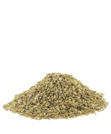 Organic Whole Fennel Seed 1/2 lb - Digestive Comfort Spice Supplement - USDA Certified - Foeniculum vulgare - 8 oz - Buy Online on GoSupps.com