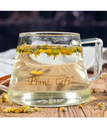 Buy Wild Chrysanthemum Tea - Authentic Chinese Tea 60g | Health Benefits | International Shipping - Buy Online on GoSupps.com