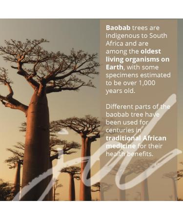 JD Botanics Baobab Honeybush Hand and Body Wash Small (6.7 fl oz Small) 6.7 Fl Oz (Pack of 1) - Buy Online on GoSupps.com