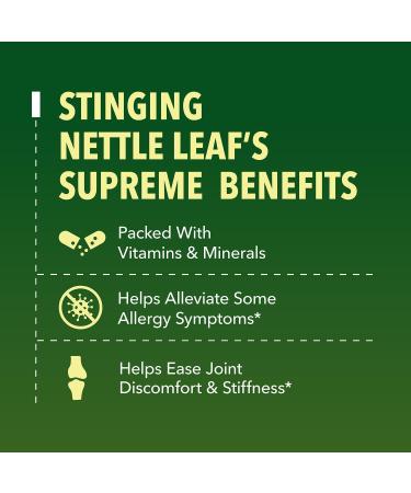 HAVASU NUTRITION Organic Nettle Liquid Drops + Saw Palmetto Capsules: Prostate Supplements for Men - Buy Online on GoSupps.com