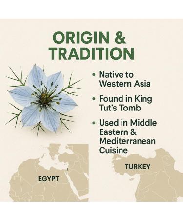  GiDeli GiDeli Whole Nigella Seeds 3 kg of genuine versatile nigella seeds for your kitchen - Buy Online on GoSupps.com