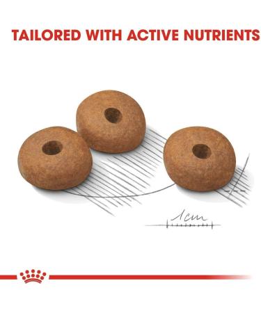 Royal Canin Medium-Light Dry Dog Food - Buy Online on GoSupps.com