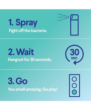 Clorox Fabric Sanitizer Aerosol Spray - Lavender Scent 14oz - Buy Online on GoSupps.com